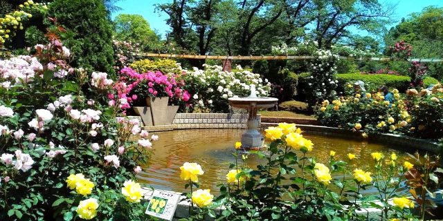 【リベロスクエアハウス】里美公園にて