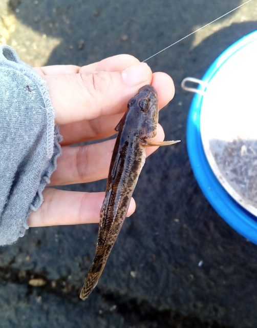 KIMG7166_20251009154023