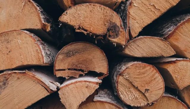 ミャンマー・チーク